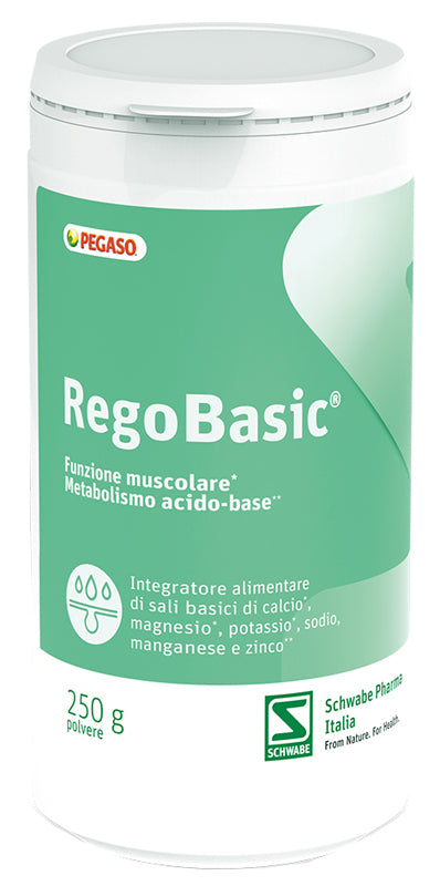 REGOBASIC POLVERE 250G
