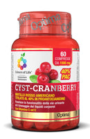 CYST-CRANBERRY 60CPR COLOURS