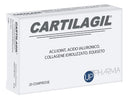 CARTILAGIL 20CPR