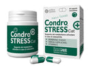 CONDROSTRESS + CAT 30CPS MONOD