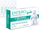ENTEROLIFE FORTE 4 MLD 10F