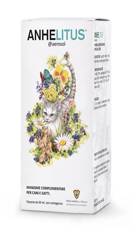 ANHELITUS AEROSOL 50ML
