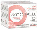 DERMOPLASMINE MOUSSE 20G