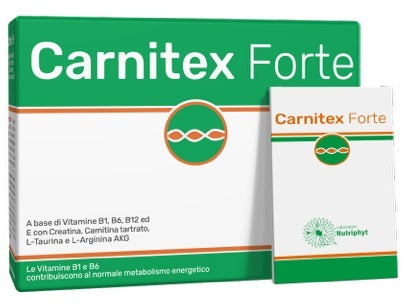 CARNITEX FORTE 14BUST